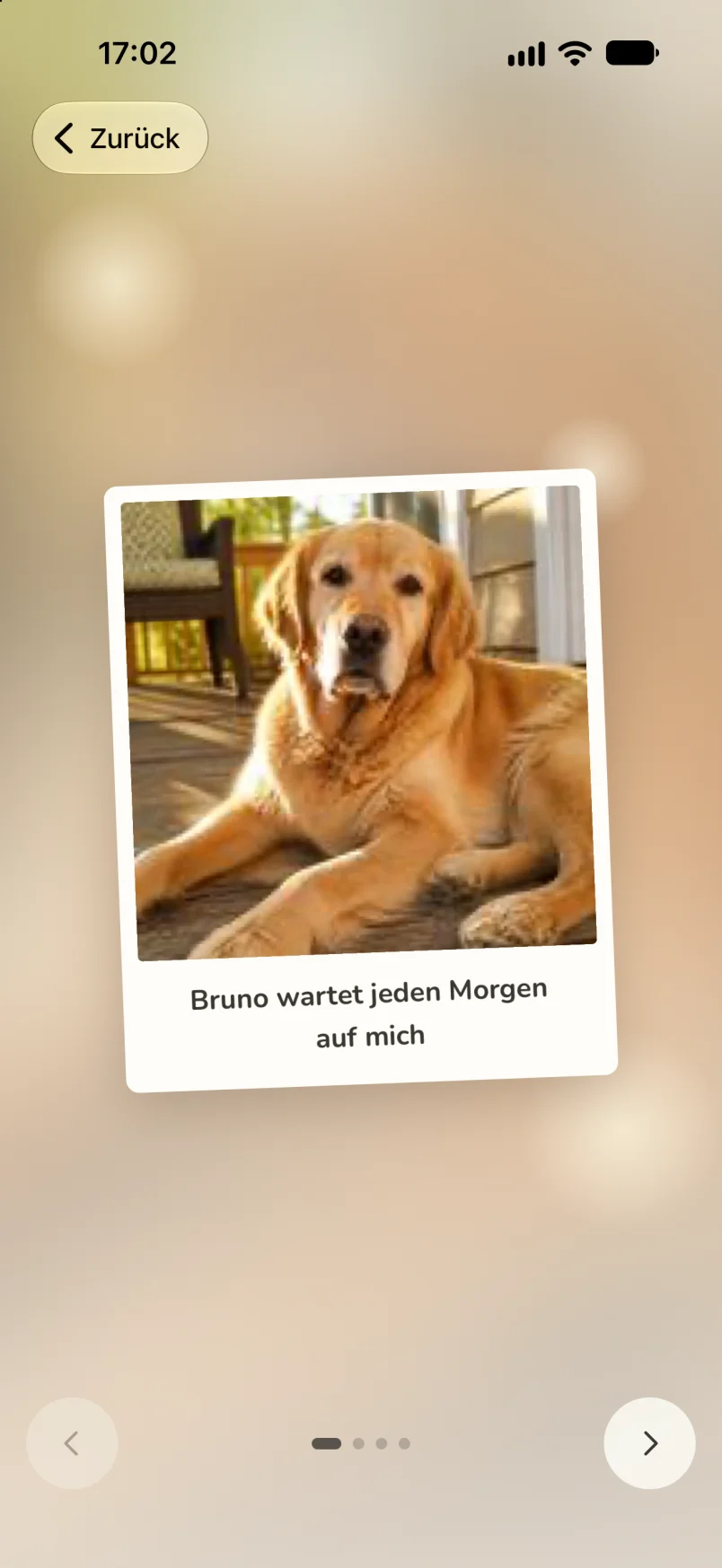 Screenshot: das Album der Lichtblicke aus dem Notfallmodus. Ein Polaroid von Bruno, einem Golden Retriever auf der Veranda, mit dem Satz „Bruno wartet jeden Morgen auf mich“, dahinter dasselbe Bild weich und unscharf, unten Pfeile und Punkte zum Blättern